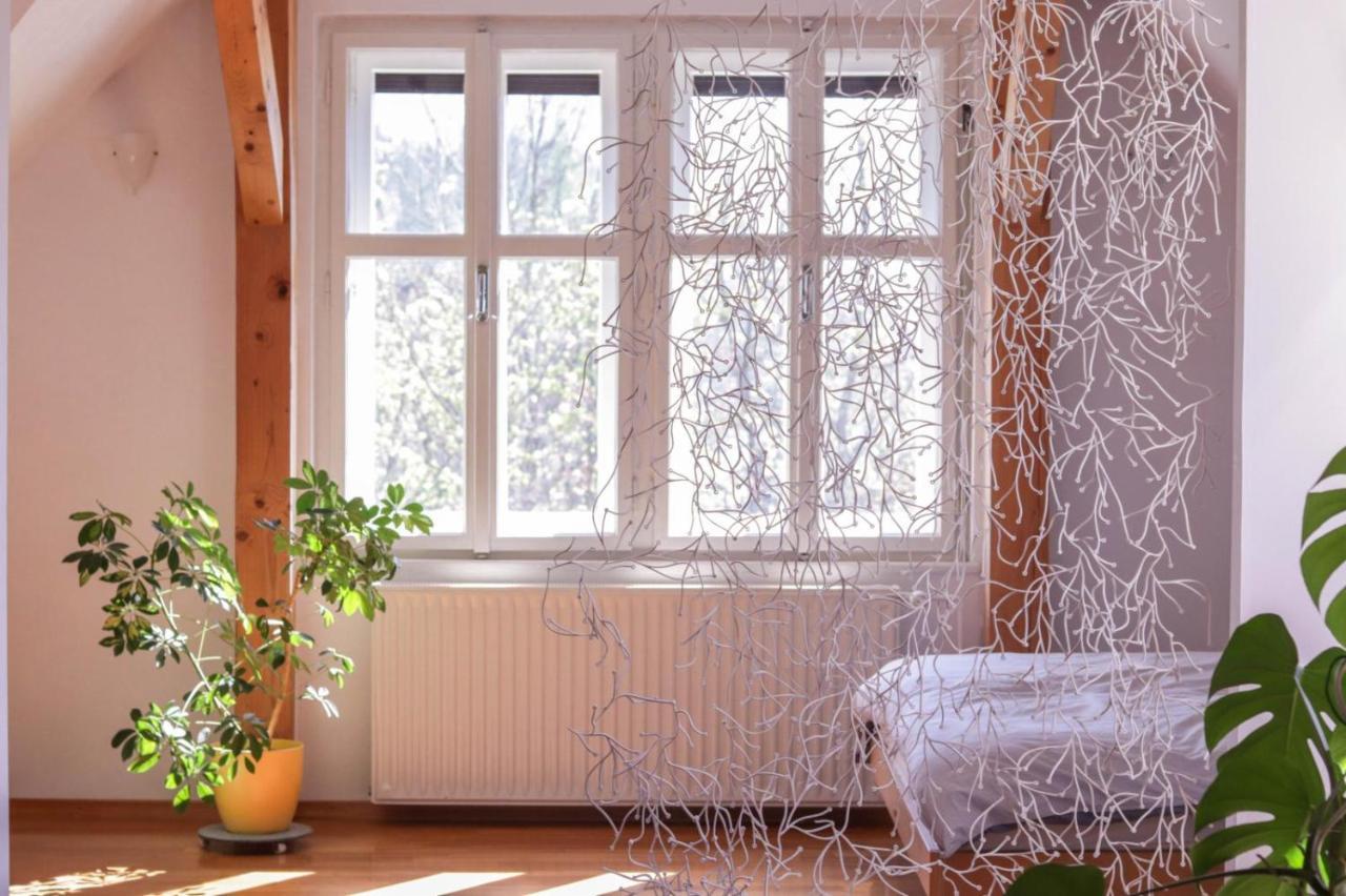 Apartment In The Heart Of Bled With Views Екстер'єр фото